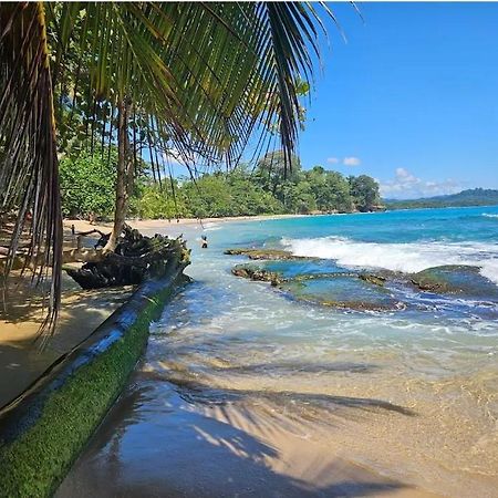 Evolution House Jungle Oasis Villa Hone Creek Bagian luar foto