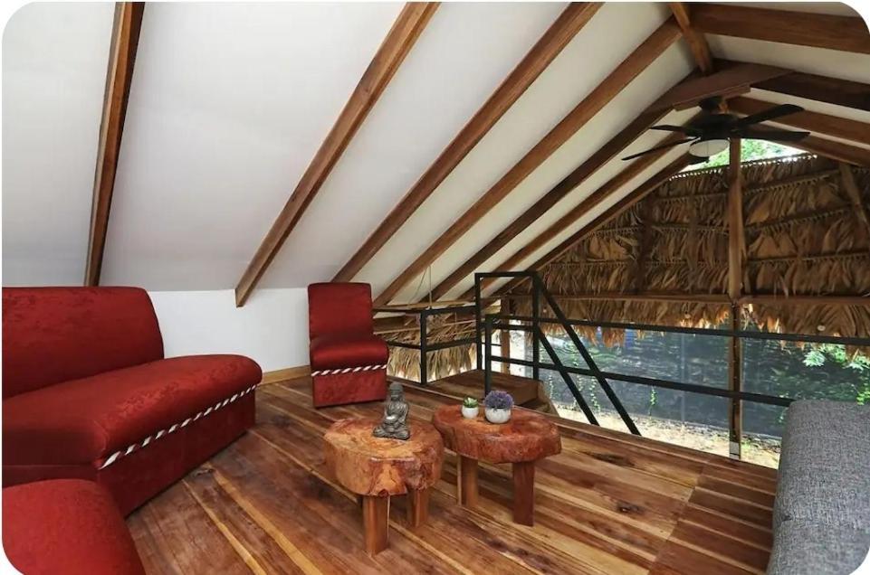 Evolution House Jungle Oasis Villa Hone Creek Bagian luar foto