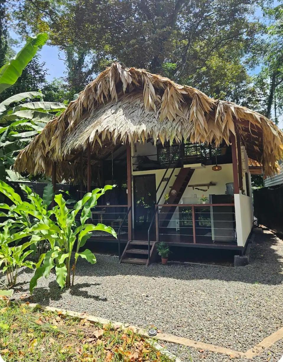 Evolution House Jungle Oasis Villa Hone Creek Bagian luar foto