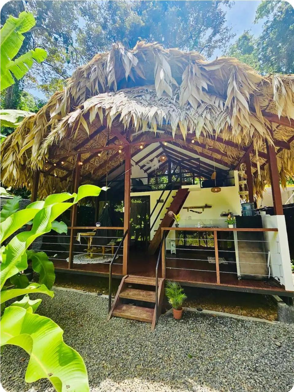 Evolution House Jungle Oasis Villa Hone Creek Bagian luar foto