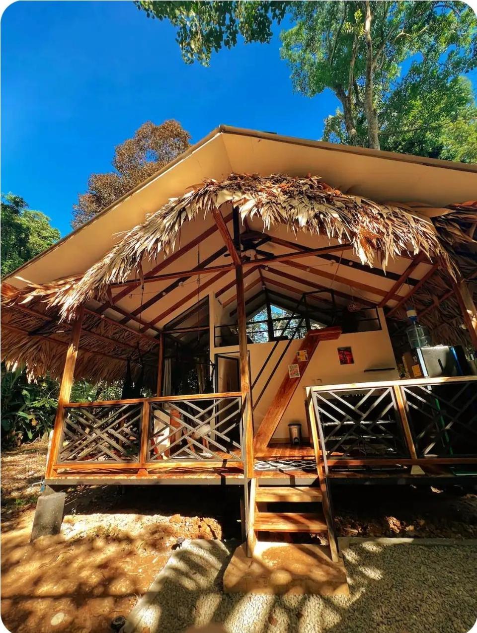 Evolution House Jungle Oasis Villa Hone Creek Bagian luar foto