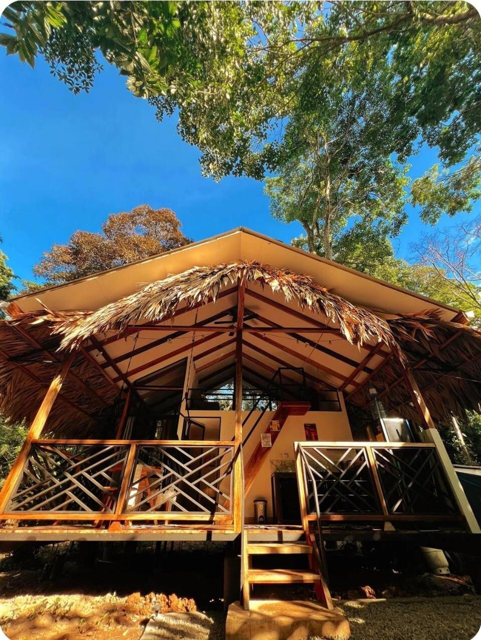 Evolution House Jungle Oasis Villa Hone Creek Bagian luar foto