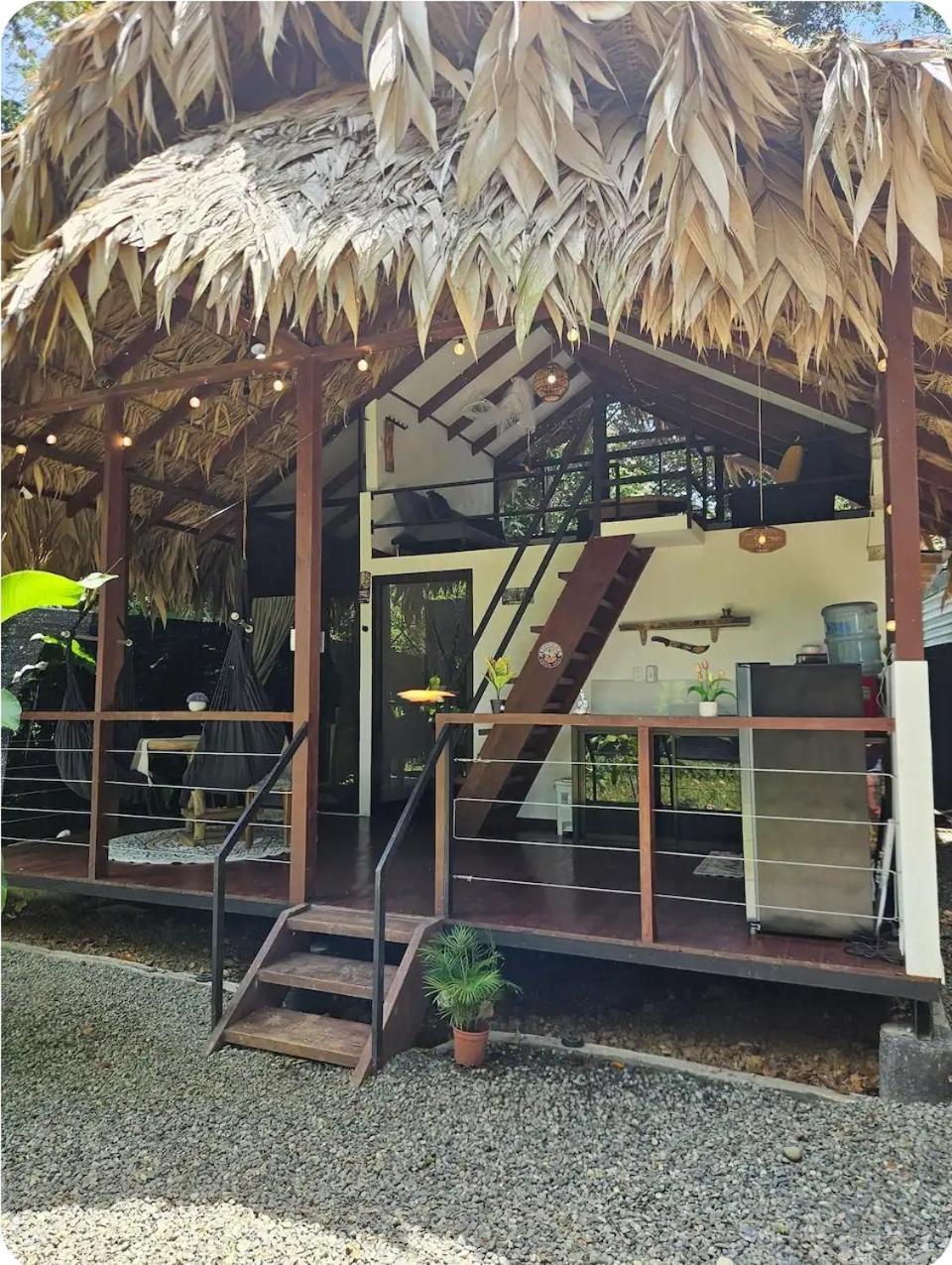 Evolution House Jungle Oasis Villa Hone Creek Bagian luar foto